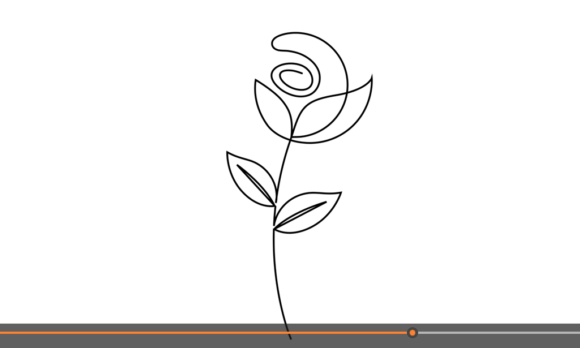 Animation of Rose Flower Linear: Blooming Continuous Line Art